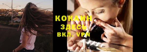 гашик Горно-Алтайск