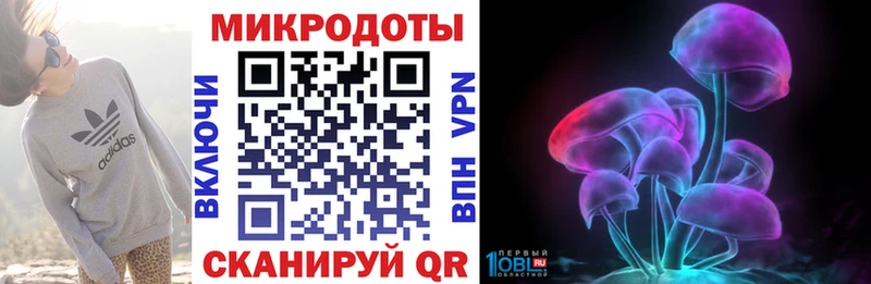 Купить где  Белокуриха  Галлюциногенные грибы Psilocybine cubensis 